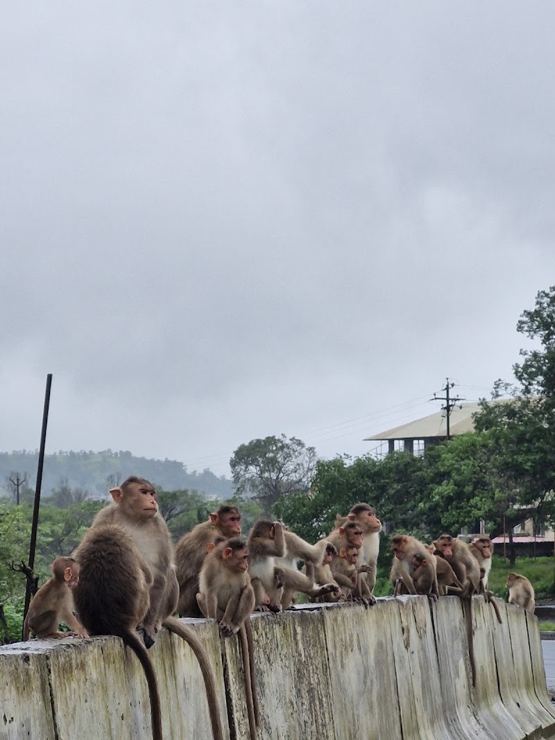 Camel Valley Point - Camel Valley Point, MGWG+HGC, Agra - Mumbai Hwy, Kasara Khu., Maharashtra 422403, India