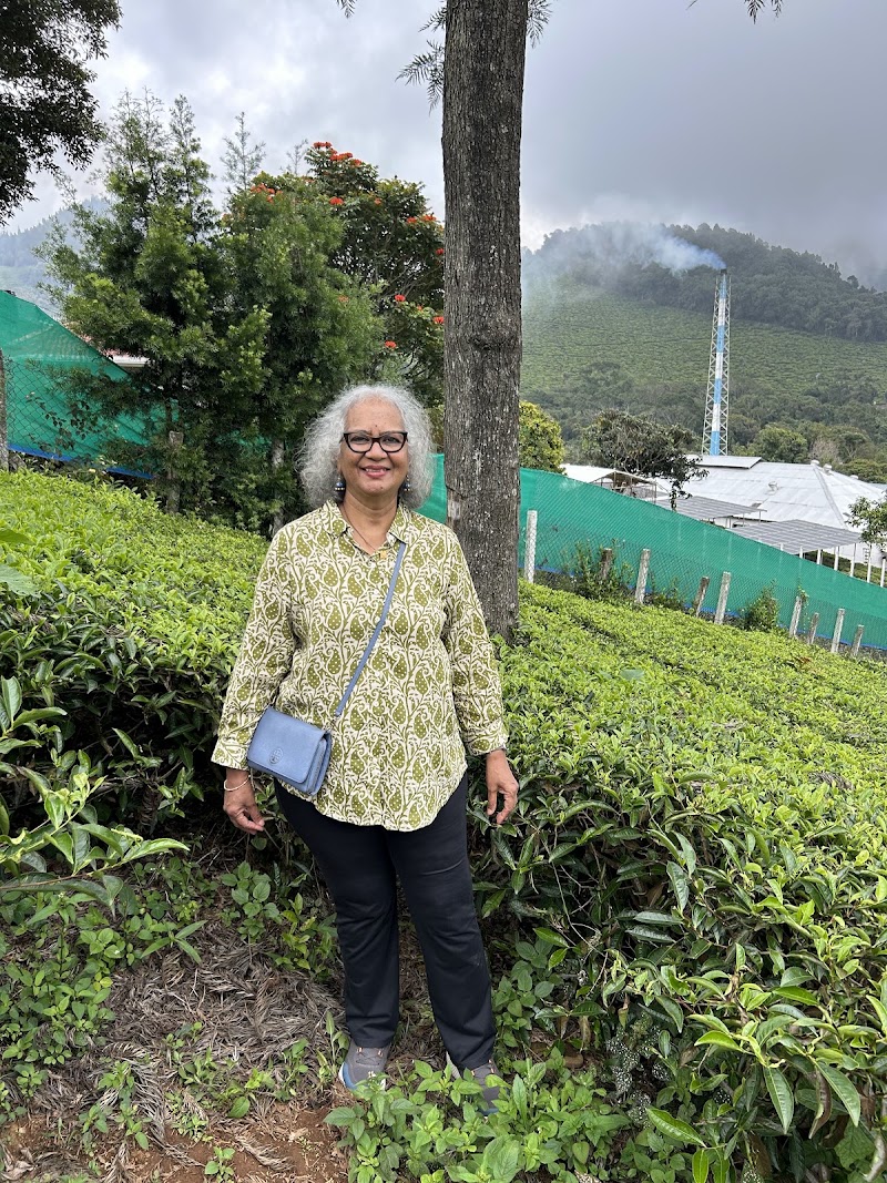 Tea plantation - Tea plantation 8RX9+WQ, Coonoor, Tamil Nadu 643101, India
