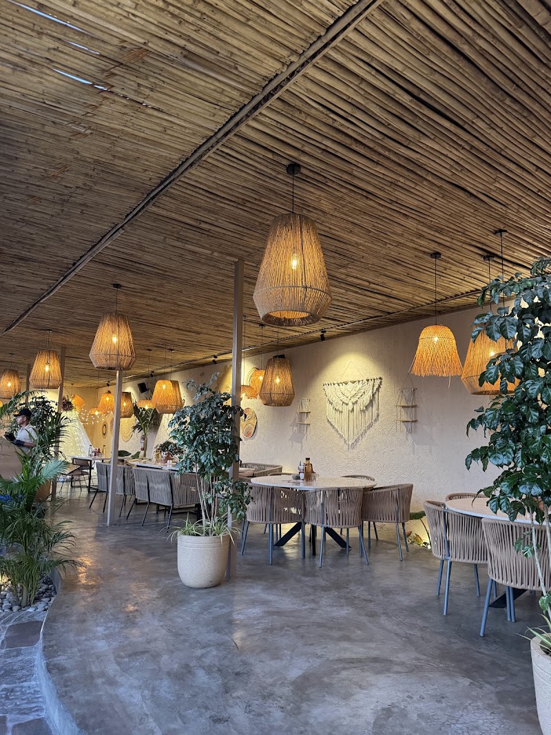 Ziora By The Falls Restaurant - Ziora By The Falls Restaurant, RMC Light House Project, Smart City, opp. Atal Sarovar Road, Raiya, Rajkot, Gujarat 360006, India
