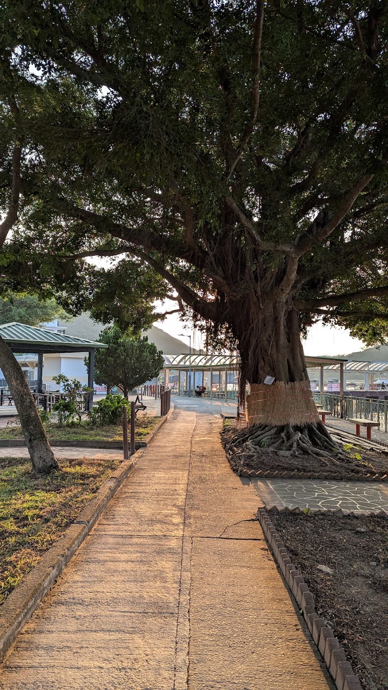 Sok Kwu Wan Pier No. 2 - Sok Kwu Wan Pier No. 2, Hong Kong