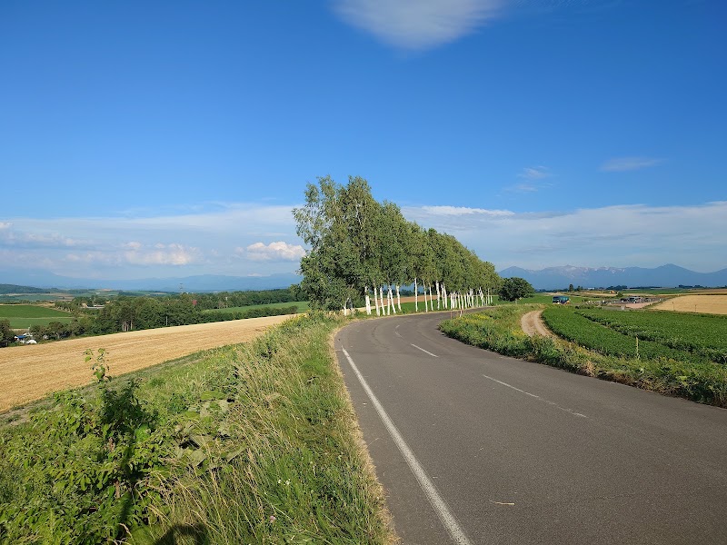 Patchwork Road (Biei) - Patchwork Road (Biei) 北海道上川郡美瑛町大久保協生, Asahi, Biei, Kamikawa District, Hokkaido 071-0216, Japan