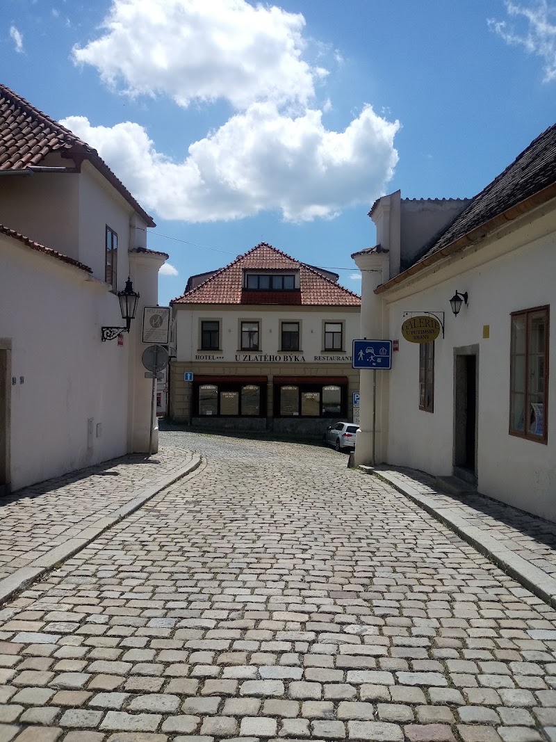 Restaurant U Zlatého býka - Restaurant U Zlatého býka 6, Píseckého 135, 397 01 Písek-Písek 1, Czechia
