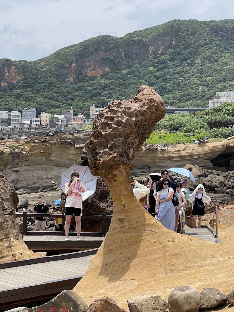 Yeliu Geology Park - Yeliu Geology Park, Wanli District, New Taipei City, Taiwan 207