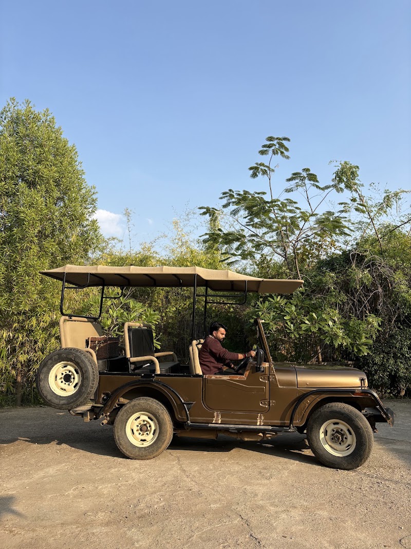 Little Affair Sariska - Little Affair Sariska, Village Ghewar, Tehla, Rajgarh, Ghewar, Rajasthan 301410, India