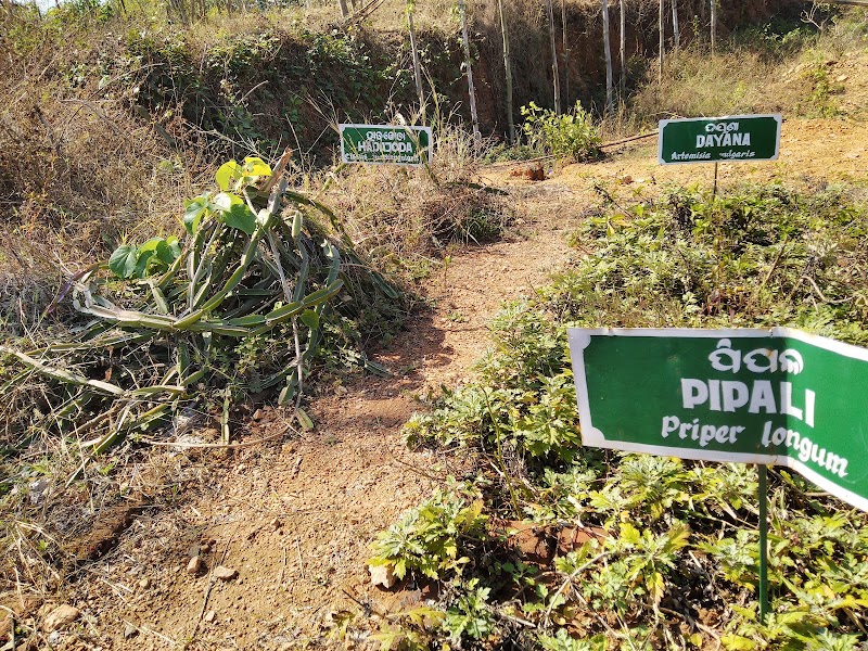 Aanand Ban Umerkote - Aanand Ban Umerkote, M644+RX4, Nowrangpur, Odisha 764073, India