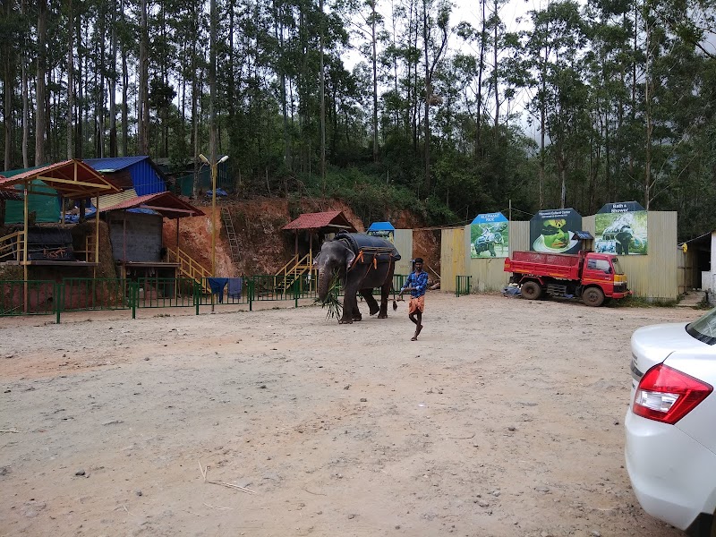 Carmelagiri Elephant Park - Carmelagiri Elephant Park Mattuppetty Road, Munnar, Kannan Devan Hills, Kerala 685616, India