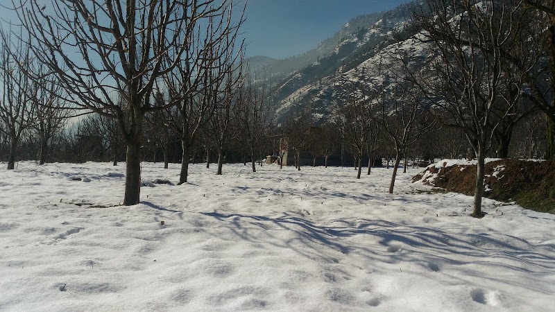 Garden Stay Shirar - Garden Stay Shirar, 348G+4Q7, Kullu, Himachal Pradesh 175128, India