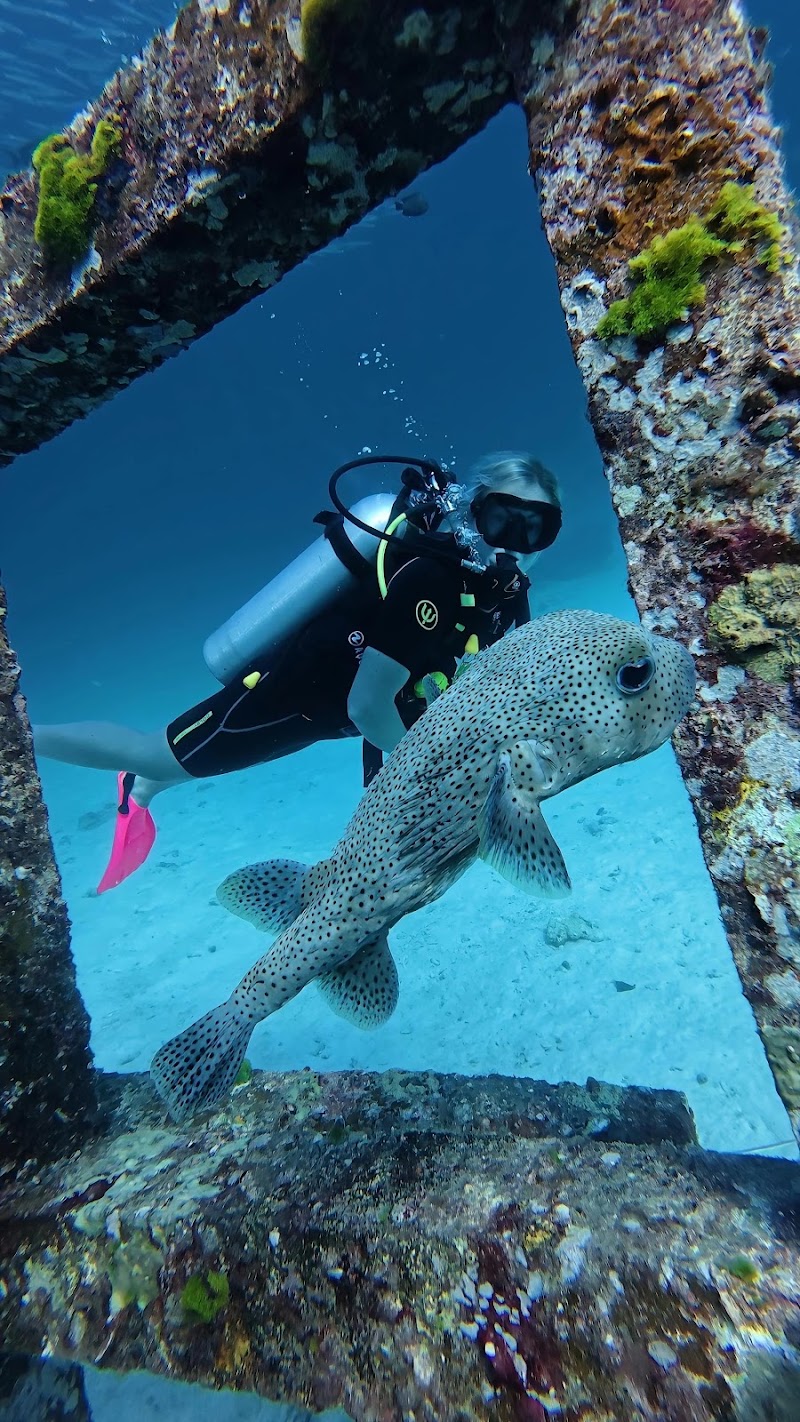 Darling Divers Phuket - Darling Divers Phuket 45, T 8 Soi Jaofa 39, Tambon Chalong, Amphoe Mueang Phuket, Chang Wat Phuket 83000, Thailand