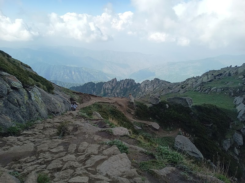 Churdhar Trek point - Churdhar Trek point, RC99+6P, Nohra, Bhog Batewari, Himachal Pradesh 173104, India