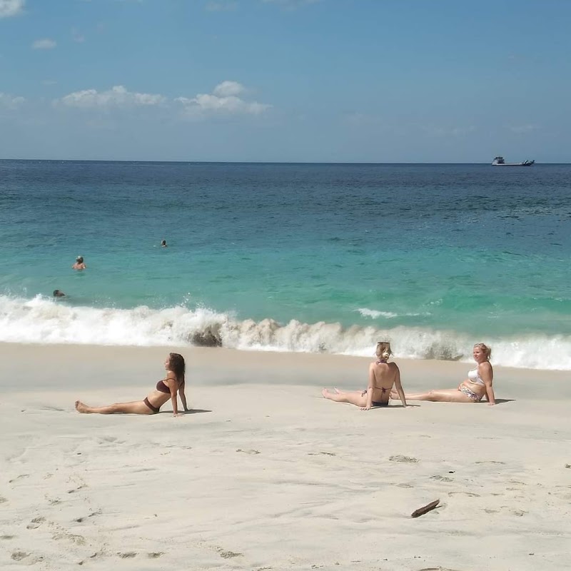 DEWA BALI TOURS - DEWA BALI TOURS Jl. Cokroaminoto, Gianyar, Kec. Gianyar, Kabupaten Gianyar, Bali 80511, Indonesia