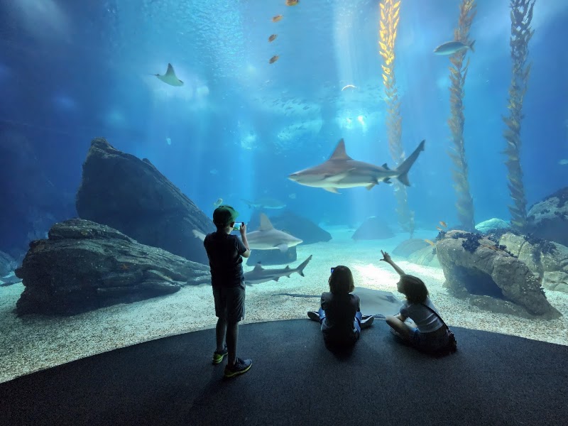 Oceanário de Lisboa - Oceanário de Lisboa, Esplanada Dom Carlos I s/nº, 1990-005 Lisboa, Portugal