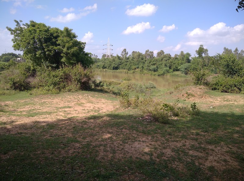 Picnic spot - Picnic spot Thakurain Tola, Chhattisgarh 491111, India