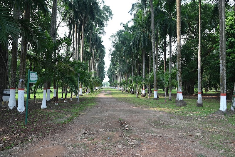 The Great Banyan Tree - The Great Banyan Tree B. Garden New Gate, Shibpur, Howrah, West Bengal 711103, India