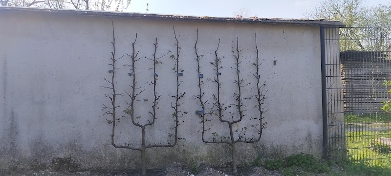 partage Garden - partage Garden, 75 Rue Pierre de Montreuil, 93100 Montreuil, France