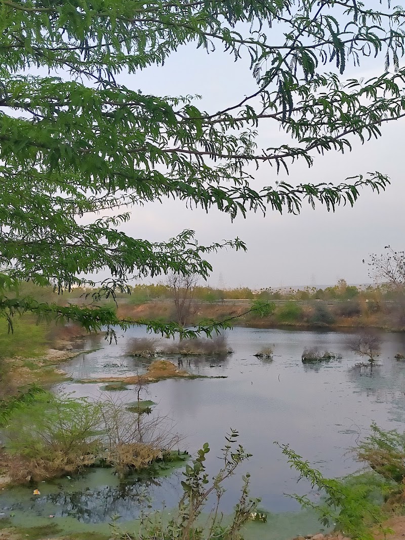 Ghamroj Natural Waterfall - Ghamroj Natural Waterfall 82GQ+2P, Garat Pur Bas, Haryana 122102, India
