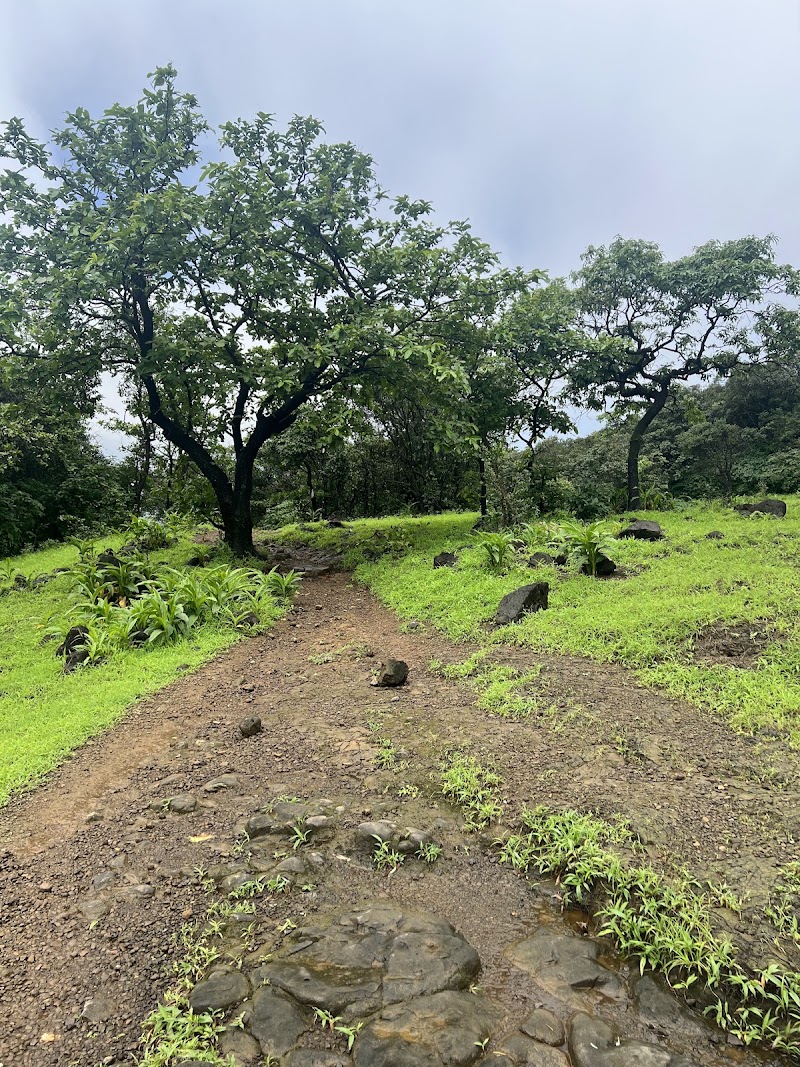 Andharban Trail End Point - Andharban Trail End Point Patnus, Maharashtra 412108, India