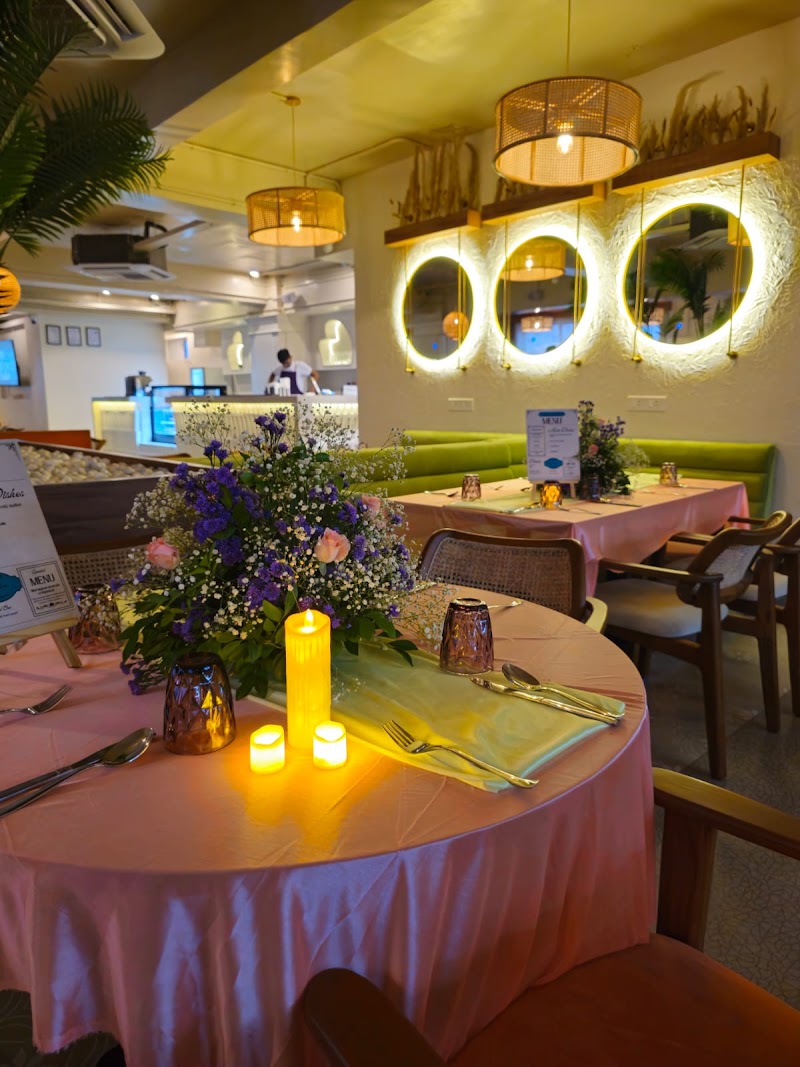 Thyme & Whisk - Coimbatore | Vegetarian Restaurant | R.S Puram | 9776300278