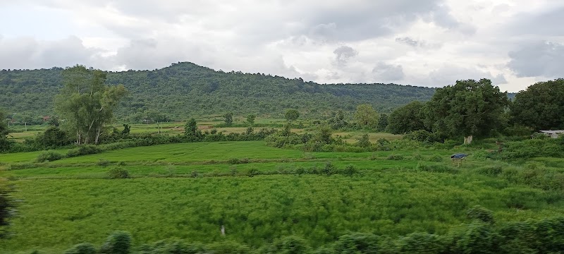 Ranipur wildlife sanctuary - Ranipur wildlife sanctuary, Ranipur, kalyan garh, Manikpur, Rani Pur Kalyan Gar, Uttar Pradesh 210208, India