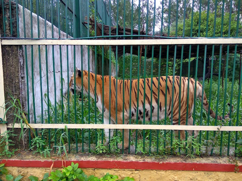 Kota Zoological Park - Kota Zoological Park Abhera Palace, Nanta Road, Chatra Vilas Garden, Nayapura, Kota, Rajasthan 323021, India