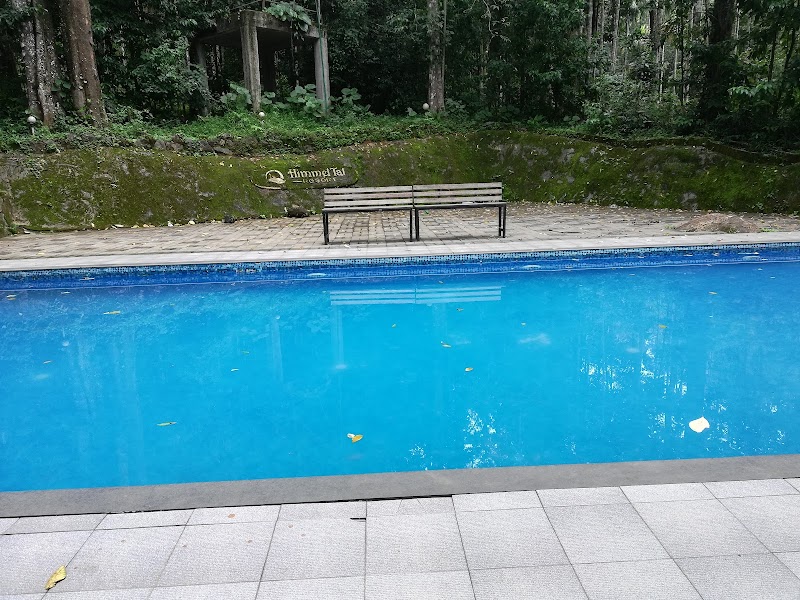 Vythiri Wild Resort, Wayanad resort - Vythiri Wild Resort, Wayanad resort charirty road, old, Vythiri, Kunnathidavaka, Kerala 673576, India