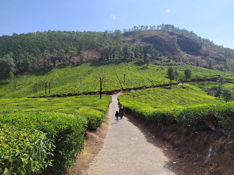 Door of Heaven - Door of Heaven 3469+R9, Kannan Devan Hills, Devikulam, Kerala 685613, India