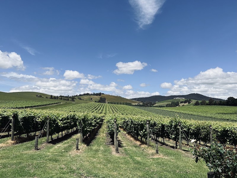 Yarra Valley Wine Tasting Tours - Yarra Valley Wine Tasting Tours, 7 Hall St, Yarraville VIC 3013, Australia