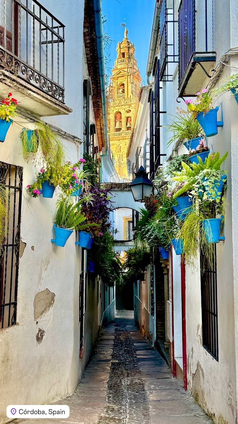 Genuine Andalusia | Spain Trip Planner | Travel Agent Specialist - Genuine Andalusia | Spain Trip Planner | Travel Agent Specialist, C. San José, 2, 2b, 11403 Jerez de la Frontera, Cádiz, Spain