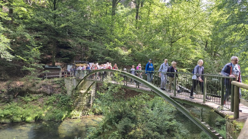 Kładka nad rzeką - Kładka nad rzeką, Naučná stezka Okolím Hřenska 407/17, 407 17 Hřensko, Czechia