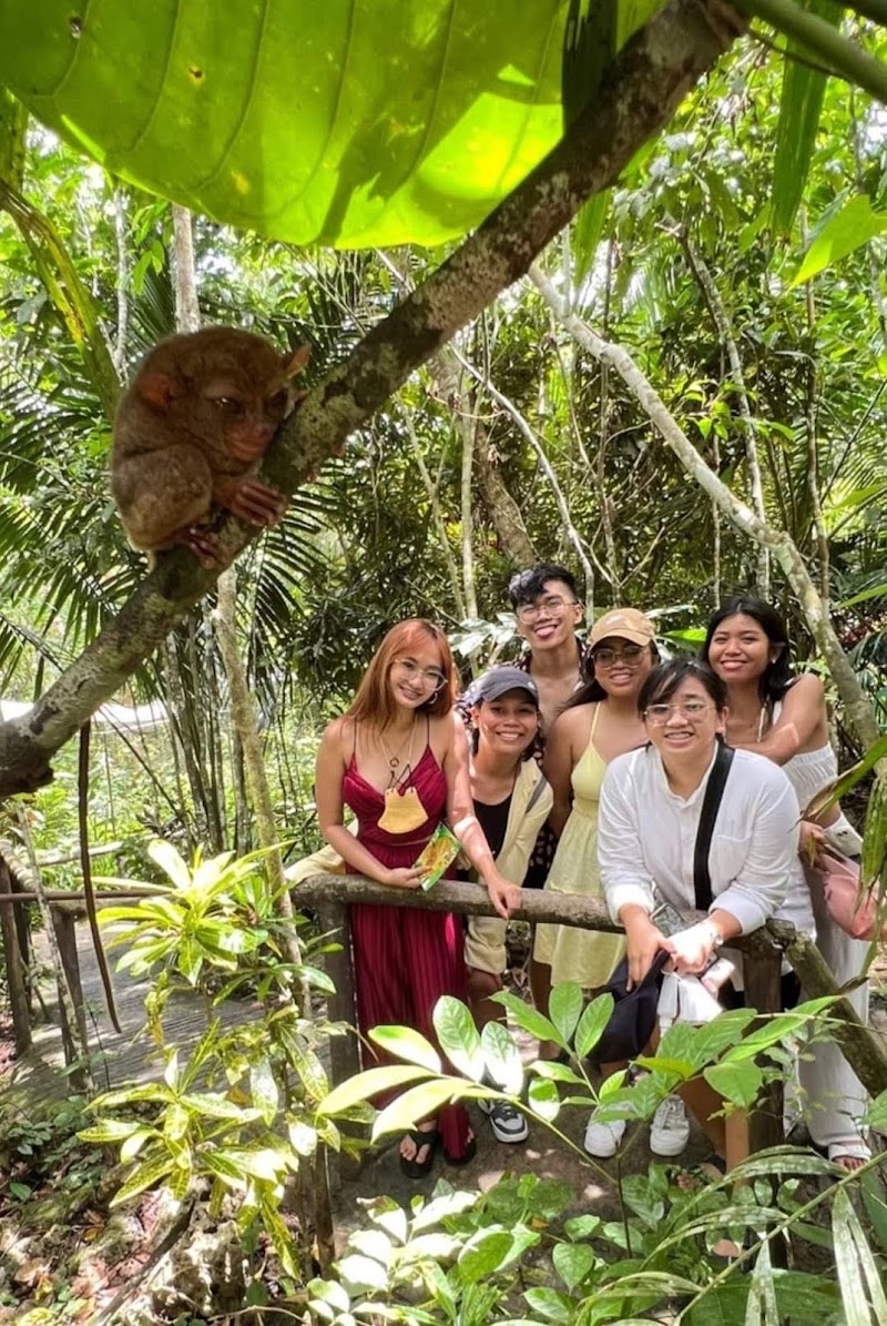 Bohol Island Hopping and Countryside Tour - Bohol Island Hopping and Countryside Tour, Totolan, Dauis, 6339 Bohol, Philippines