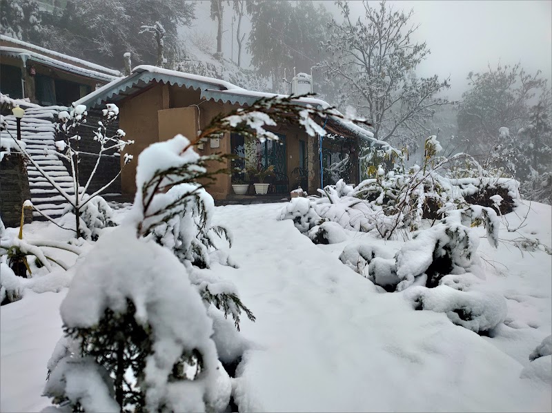 Mohan's Mud Houses - Mohan's Mud Houses, Binsar Road, Kasar Devi Temple, PO, Dinapani, Mat, Uttarakhand 263601, India