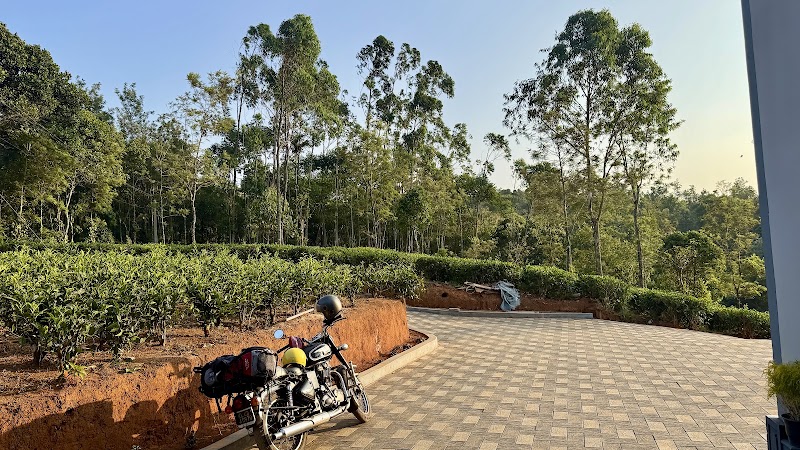 Munnar tea valley - Munnar tea valley, Muthuvankudy, Munnar, Kerala 685565, India