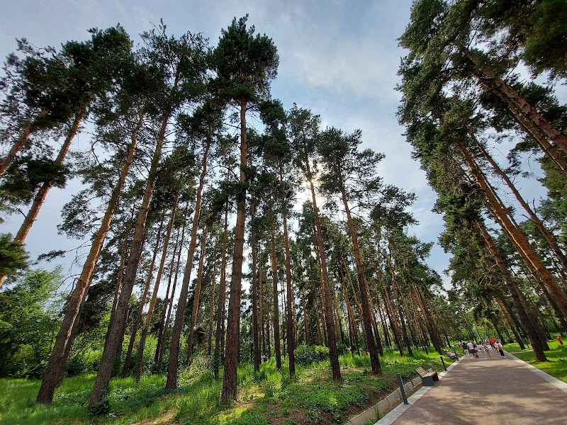 Almaty Botanical Gardens - Almaty Botanical Gardens, Timiryazev St 36Д, Almaty 6050040, Kazakhstan