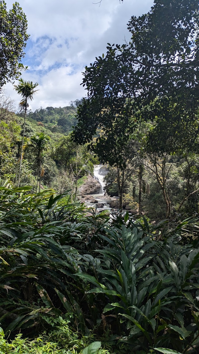 Hidden waterfall - Hidden waterfall 23P4+WF, Chithirapuram, Keralam 685565, India
