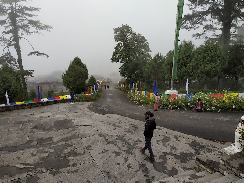 Thimphu-Punakha Highway - Thimphu-Punakha Highway, Thimphu-Punakha Hwy, Dochula, Bhutan