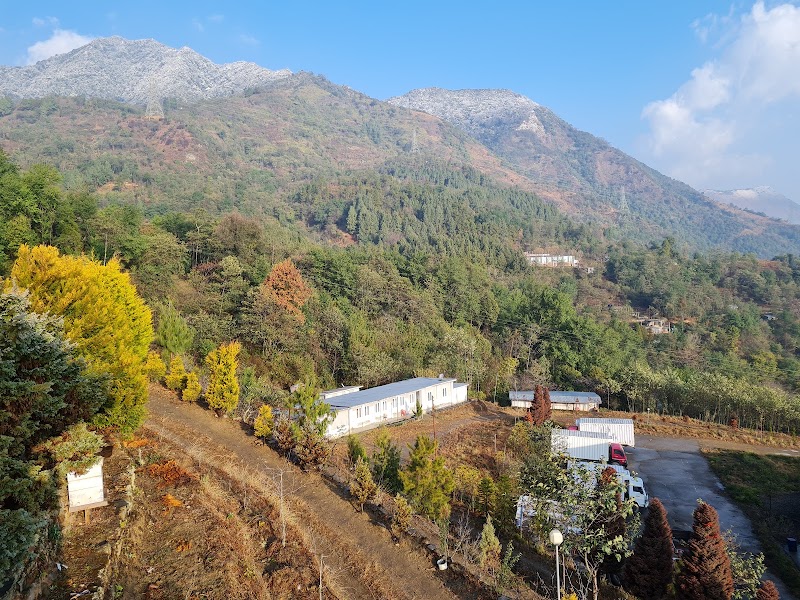 Dzüko Valley Helipad - Dzüko Valley Helipad Dzukou, Nagaland 797006, India