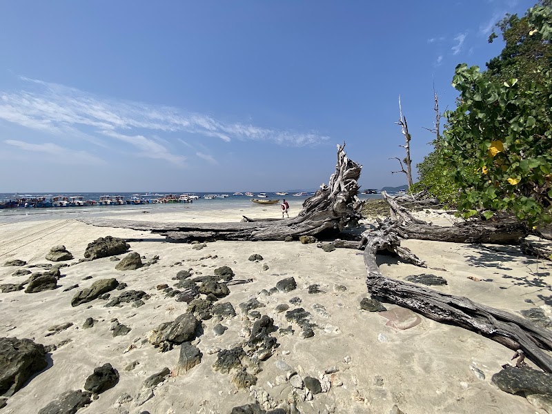 Elephant Beach - Elephant Beach SH4, Havelock Island, Port Blair, Andaman and Nicobar Islands 744211, India