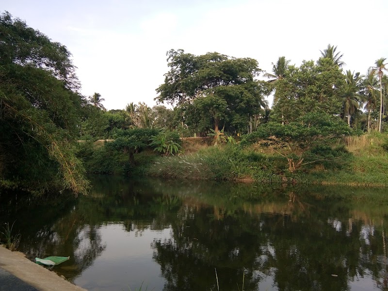 Karamana River - Karamana River Karamana River, Thiruvananthapuram, Kerala