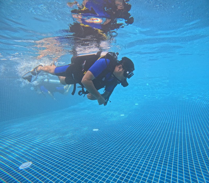 Dive India Delhi at Heritage Village Resort & Spa