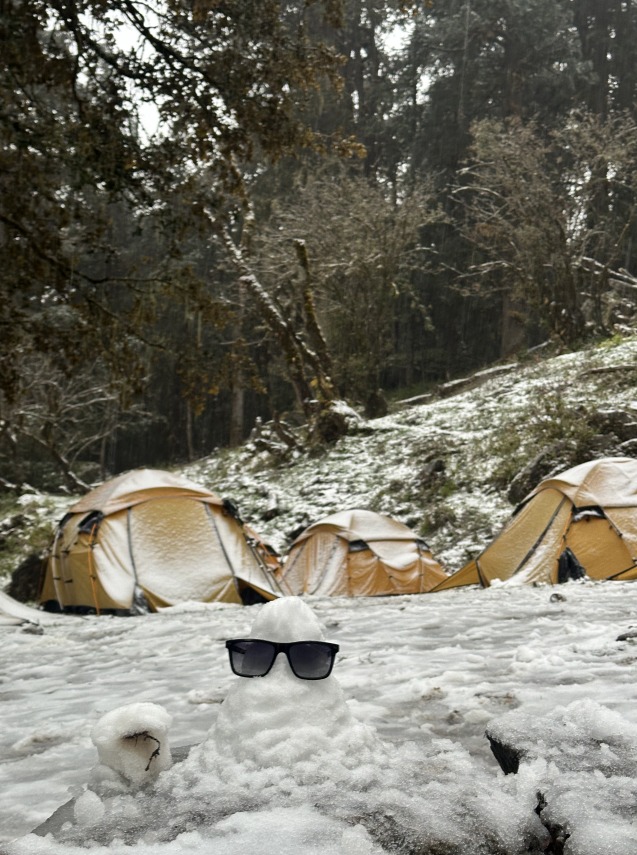 Tali Forest Camp - Tali Forest Camp, FHFF+G5, Salud Dugra, Uttarakhand 246483, India