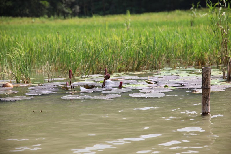 Bến Thánh - Bến Thánh, 6WFJ+VXQ, Nam Hoa Lu, Ninh Binh, Vietnam