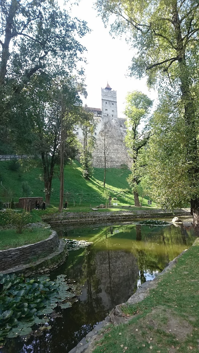 Brașov - Brașov, Bucharest, Romania