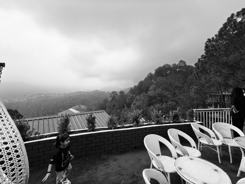 Kasauli Pine Hills - Kasauli Pine Hills Dharampur - Kasauli Rd, Kanda, Kasauli, Himachal Pradesh 173209, India