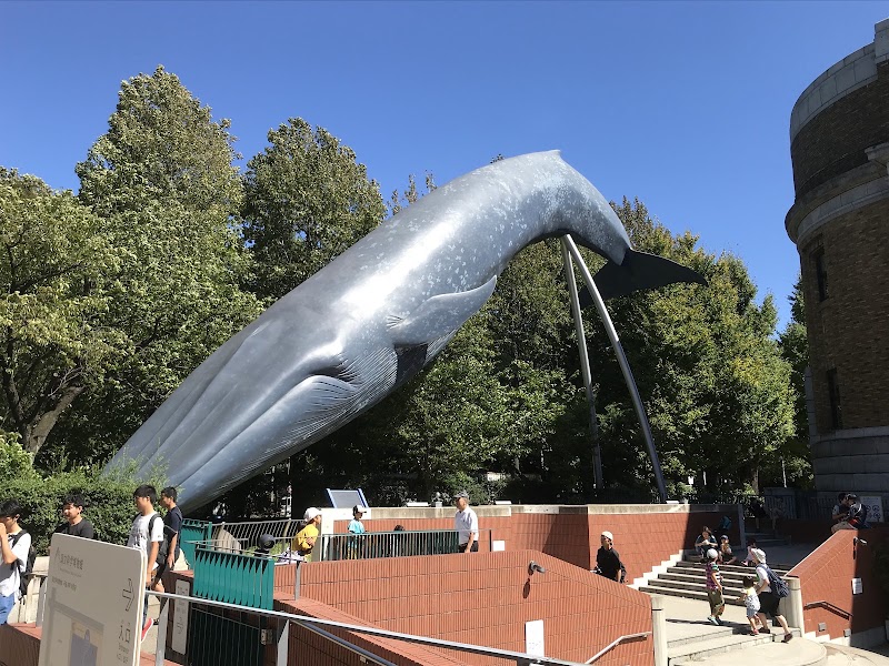 National Museum of Nature and Science - National Museum of Nature and Science 7-20 Uenokōen, Taito City, Tokyo 110-8718, Japan