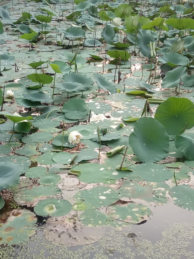 Gaurkapa - Gaurkapa, Chhattisgarh, India