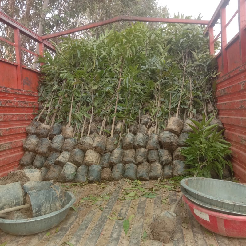 Vrikshawali - An Environmental Preservation Society - Vrikshawali - An Environmental Preservation Society, G.S. Residency 2nd, Flat No. F2, Plot No.141, Purani Chungi,, Ajmer Rd, Modi Nagar, Nirmohi Nagar, Jaipur, Rajasthan 302019, India
