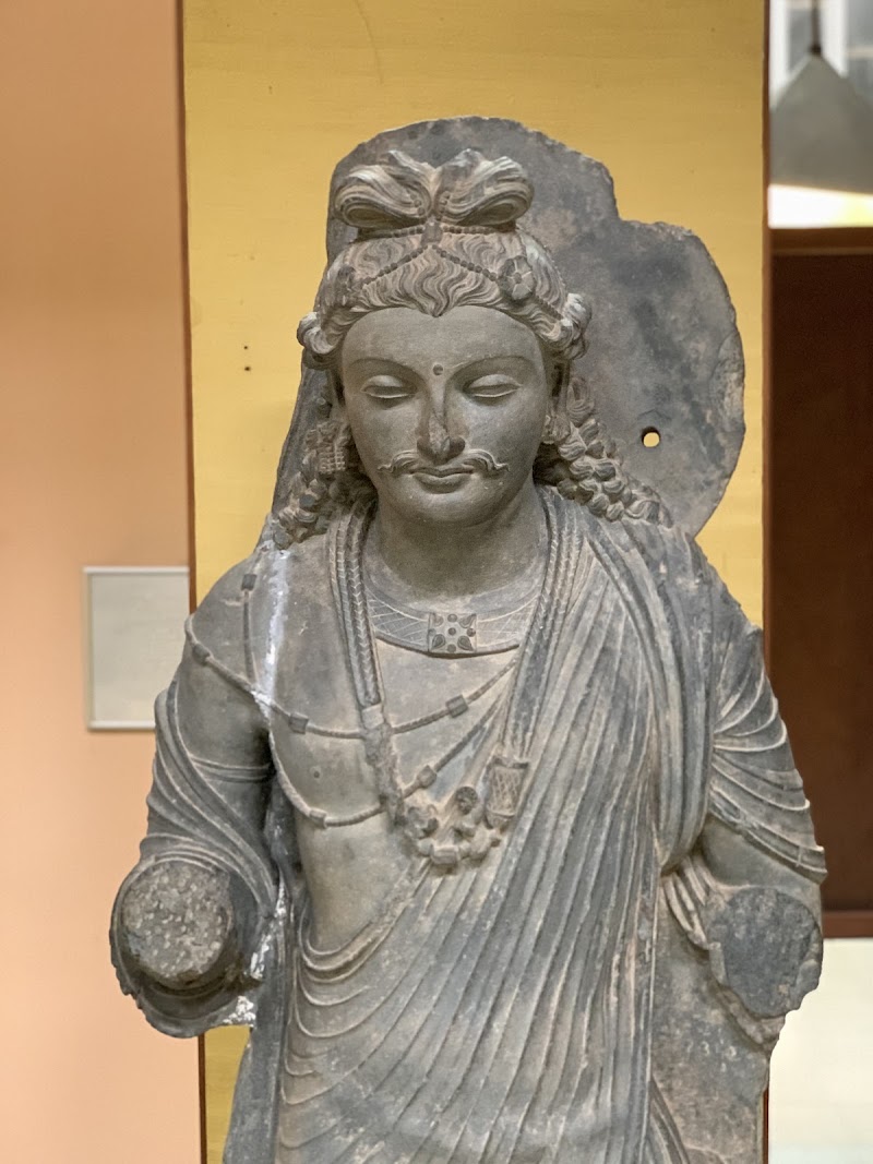 Government Museum and Art Gallery - Government Museum and Art Gallery Sector, 10C, Sector 10, Chandigarh, 160011, India