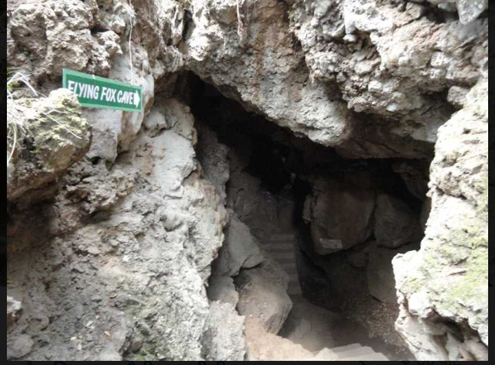 Eco Cave Park - Eco Cave Park Sukhatal, Mallital, Nainital, Uttarakhand 263001, India