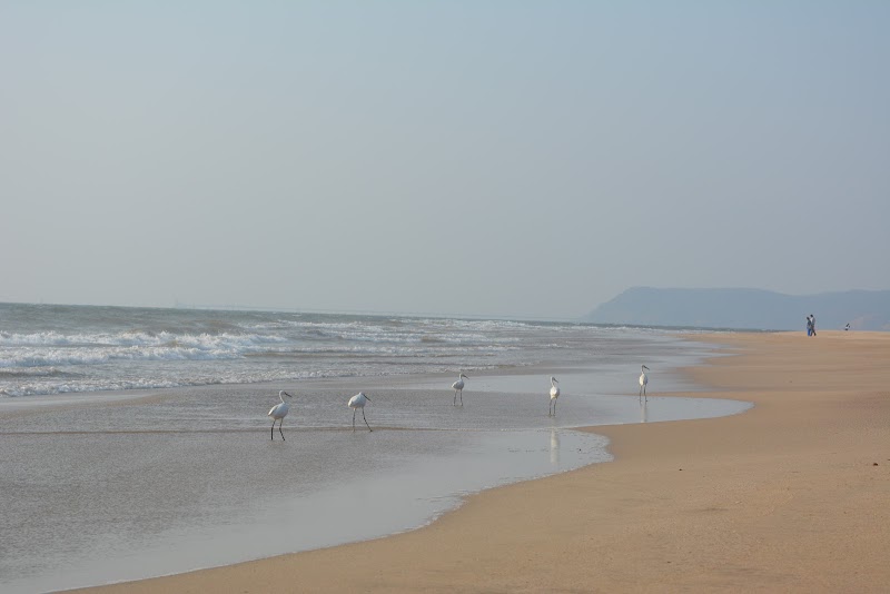 Guhagar Beach - Guhagar Beach, Maharashtra 415703, India