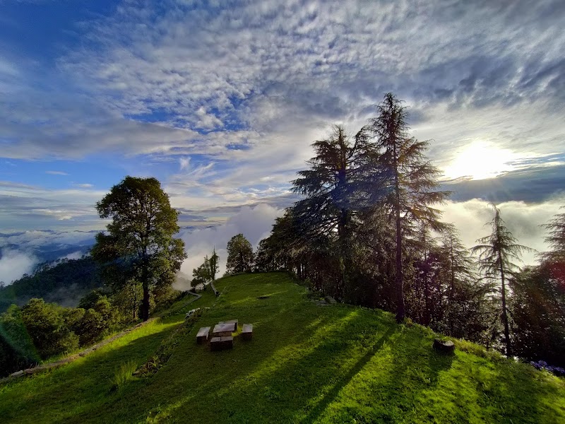 Tree of Life Grand Oak Manor Binsar - Tree of Life Grand Oak Manor Binsar, Jhandi Dhar - Binsar Sanctuary Gate Rd, Regariya, Uttarakhand 263601, India
