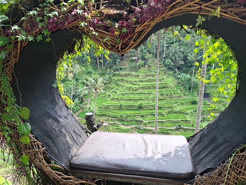 Wide Bali Tours - Wide Bali Tours, Jl. Sindu, Sayan, Kecamatan Ubud, Kabupaten Gianyar, Bali 80571, Indonesia